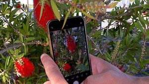 Nature Photography Workshop with Karenza Ebejer and Dr Jenny Fraser